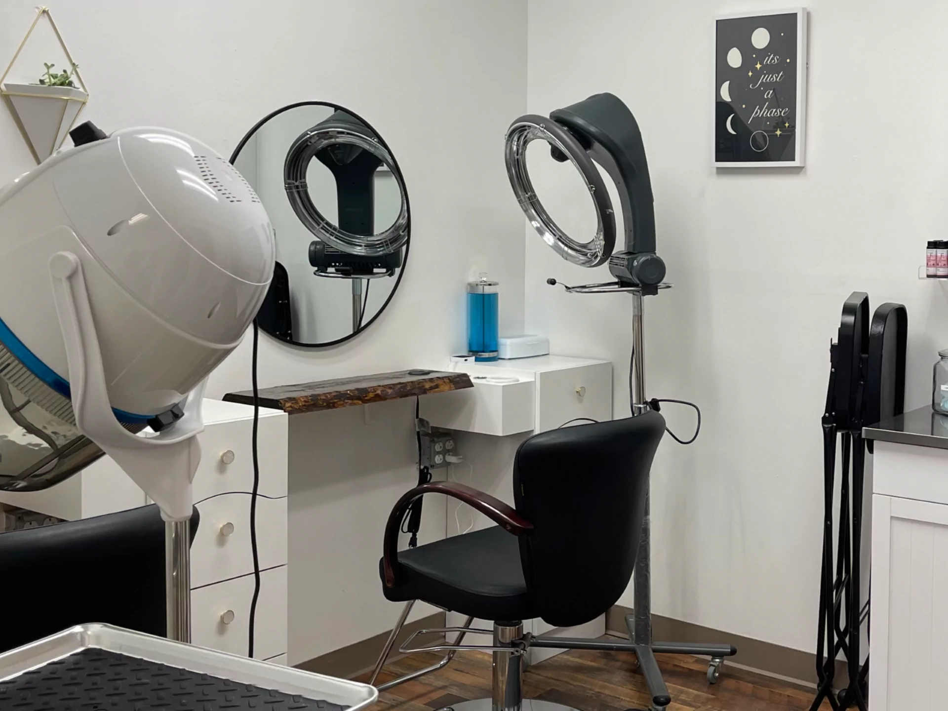 Artistique Hair Studio hair dryer